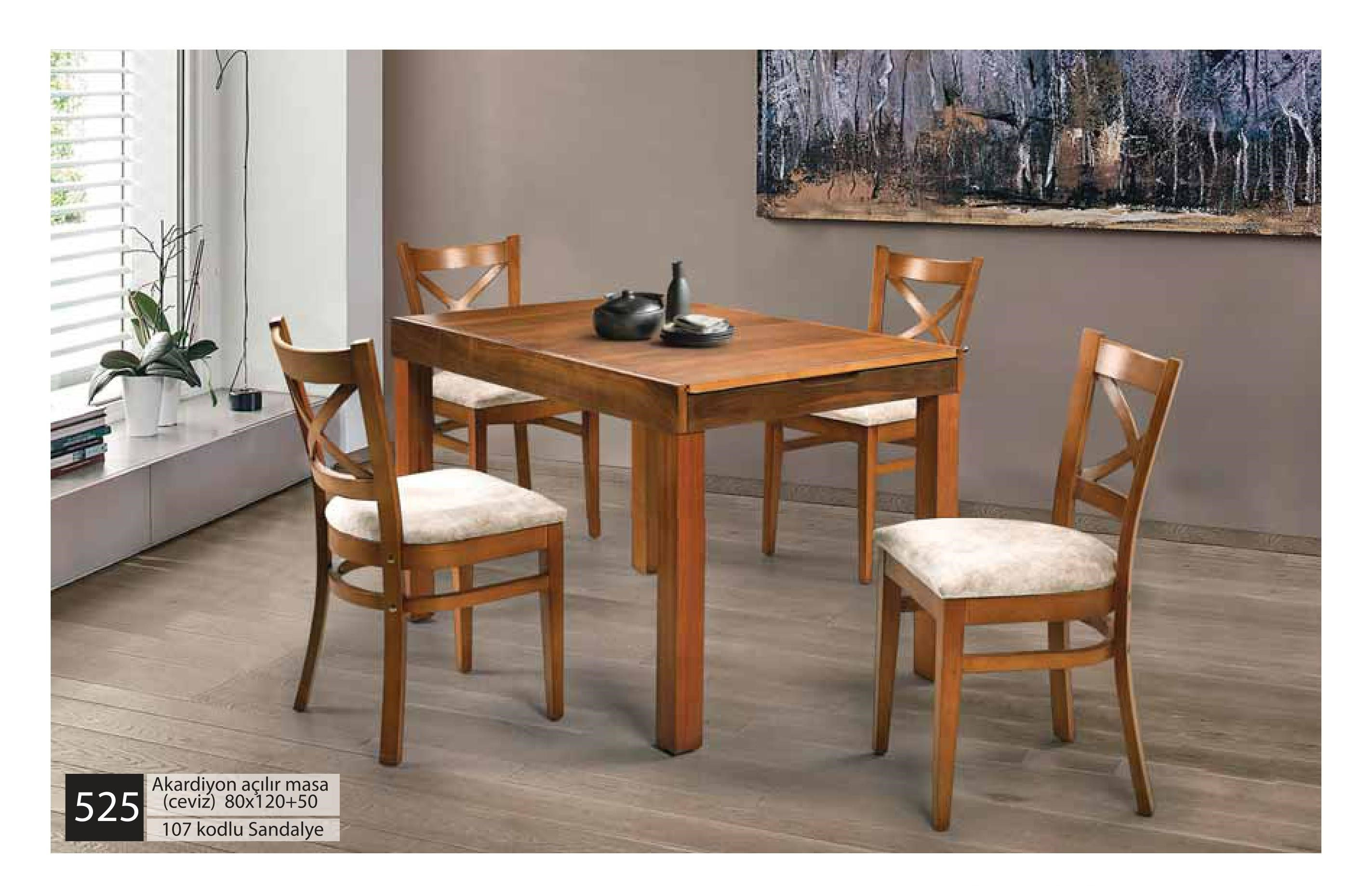 Akardiyon Açılır Masa Sandalye Takımı
