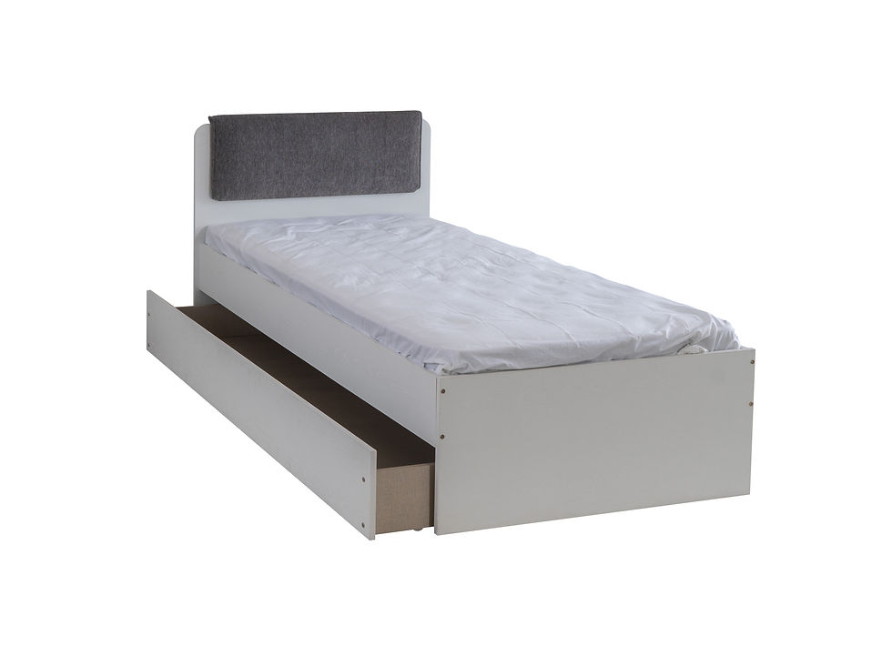 Küçük resim: Leon Genç Odası