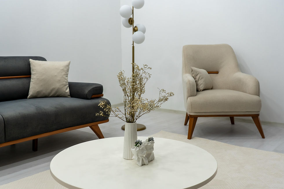 Küçük resim: FLİPPO KOLTUK TAKIMI