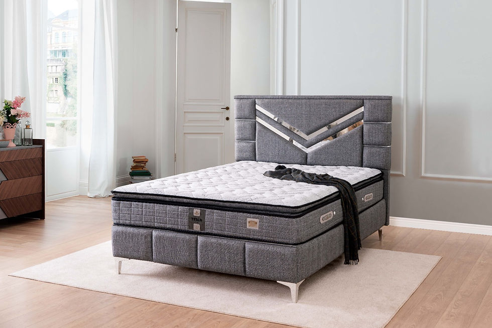 Tesla Yatak Baza Başlık