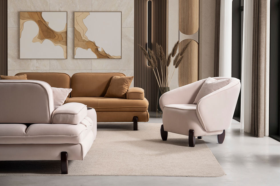 Küçük resim: Artemis Koltuk Takımı