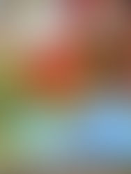 奥津湖無料キャンプ場は素晴らしかったです。