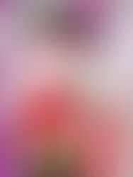 成人式前撮り募集📸