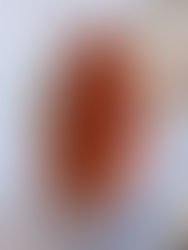 夏のオレンジレイヤースタイル🍊