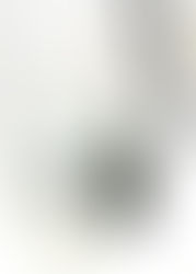 限定コラボモデル☆