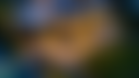 Luxury, Redefined by WEllness