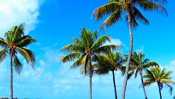 Palm Beach
