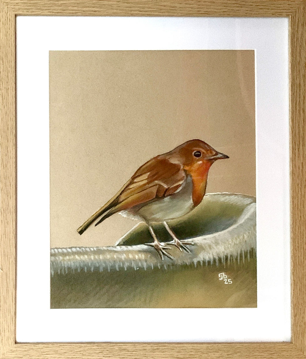 Robin