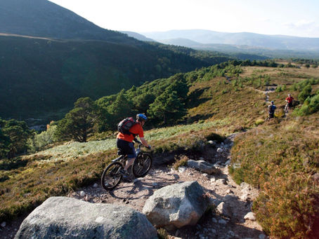 Forest adventures - celebrating Scotland's forests