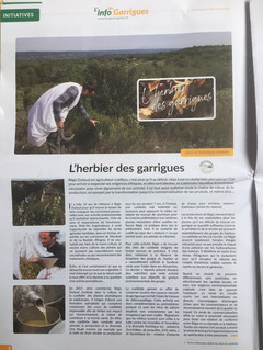 Info Garrigue Article.jpeg