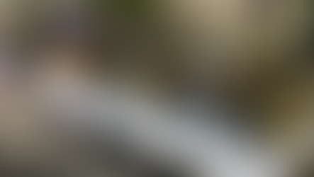 Nos prochains rendez-vous de cet été 2025