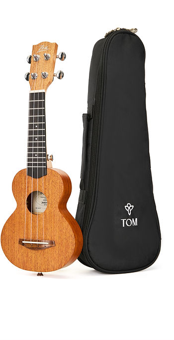 AM3-MINI with gig bag.jpg