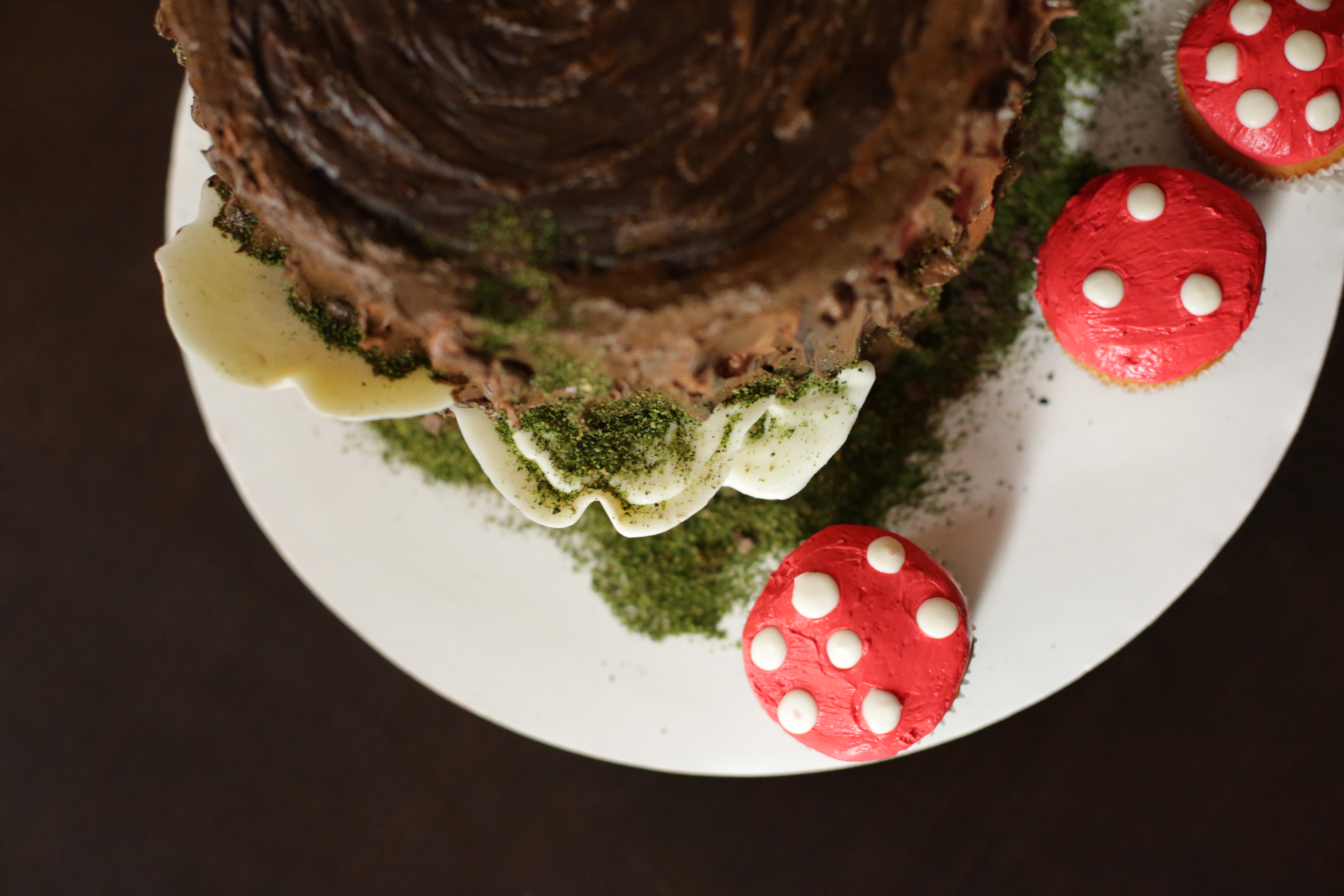 Tree Stump cake and Mushroom Cupcake
