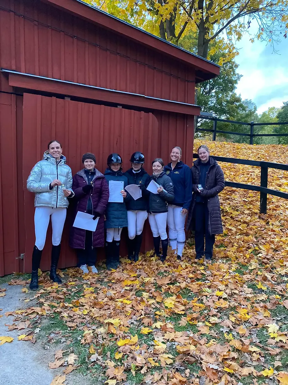 Resultat klubbdressyr 19 november