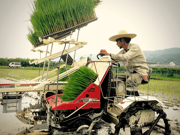 田植機.gif