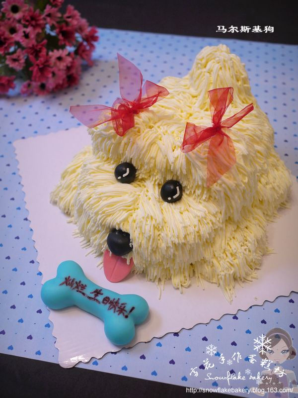 马尔斯基狗20111205