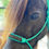 Thumbnail: Miniature Horse Halters (soft)