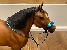 Black Turq Breyer 2.jpg