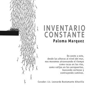 2017 - Inventario constante