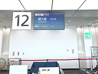 Kagoshima airport_edited.jpg