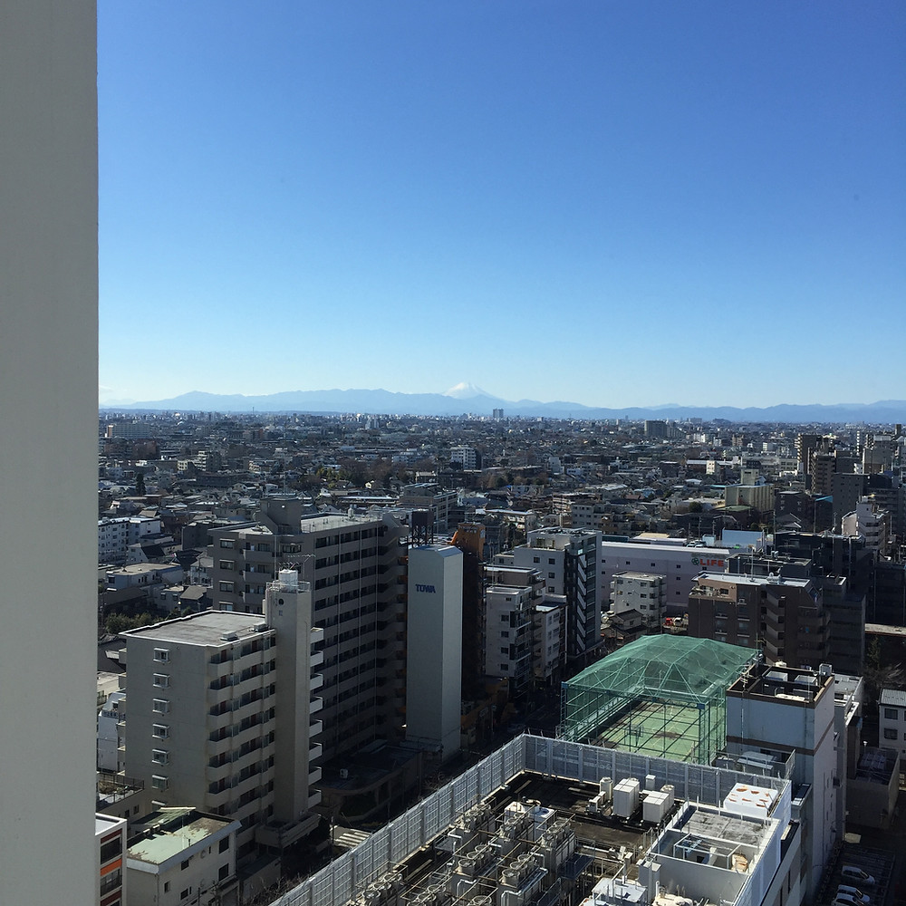 Tokyo and Mt.Fuji