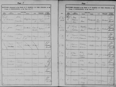James Stevens - butcher, laborer and fruit grower 