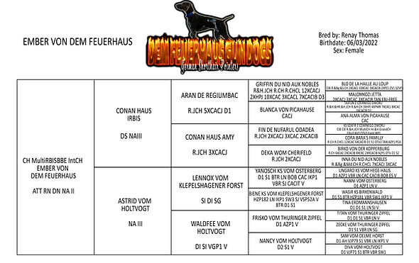 EMBER PEDIGREE.jpg