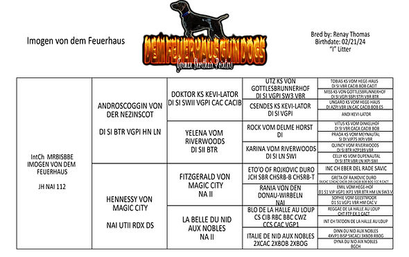 MO PEDIGREE.jpg