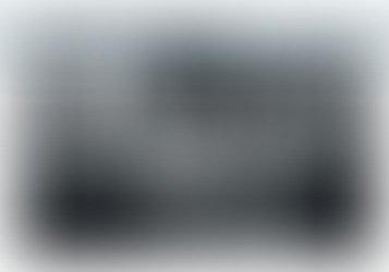 Patrick Leboutte /Emmanuel Massart Déjà s'envole la fleur maigre