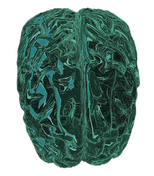 Brain Illustration_edited_edited.png