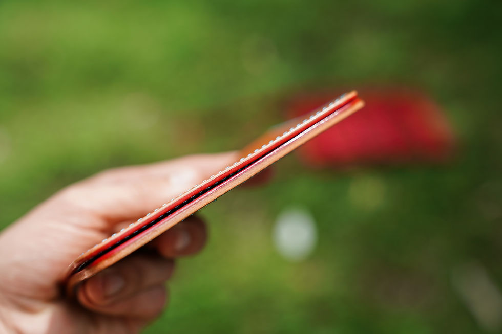 Thumbnail: Passport Wallet