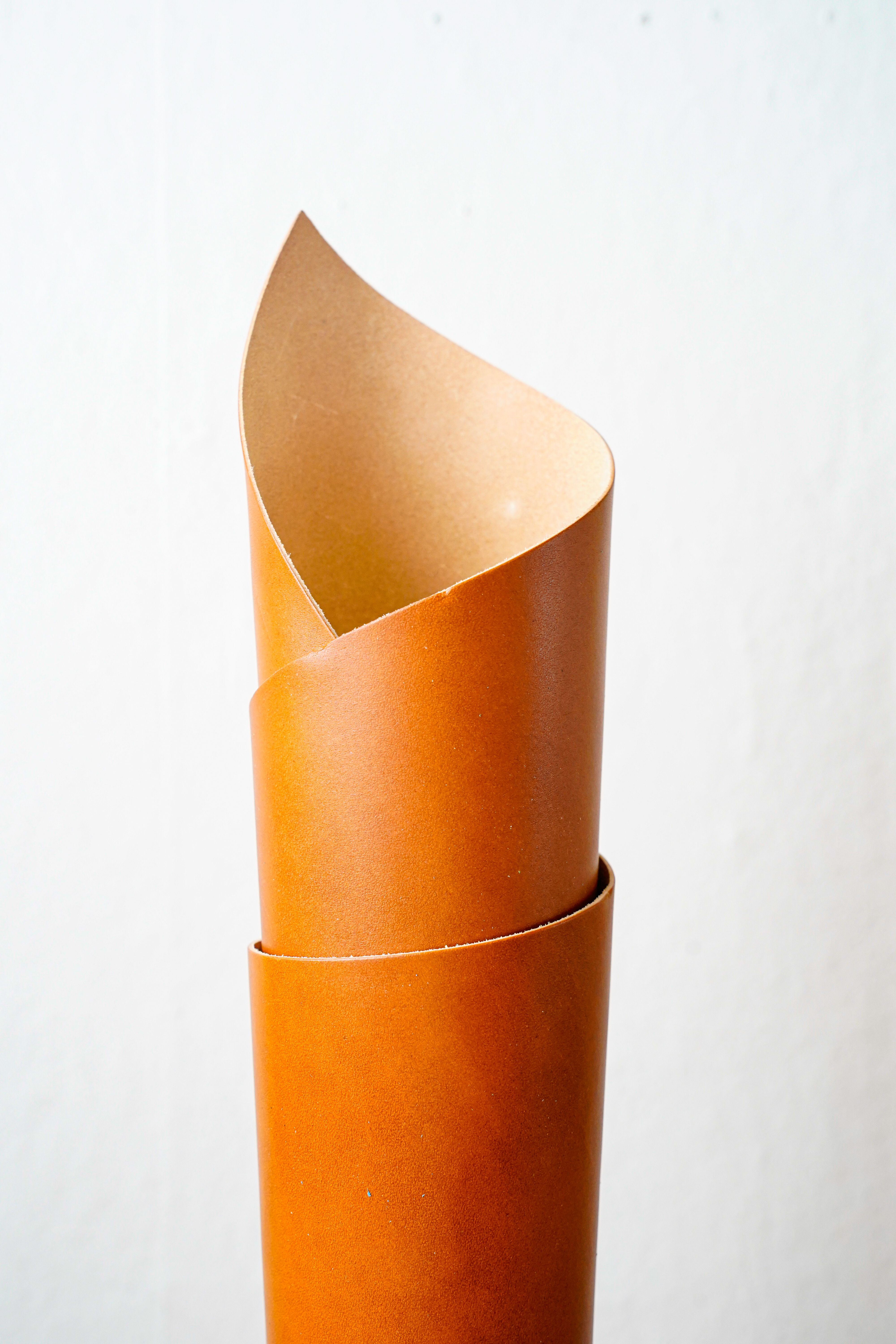 English Bridle Wickett and Craig