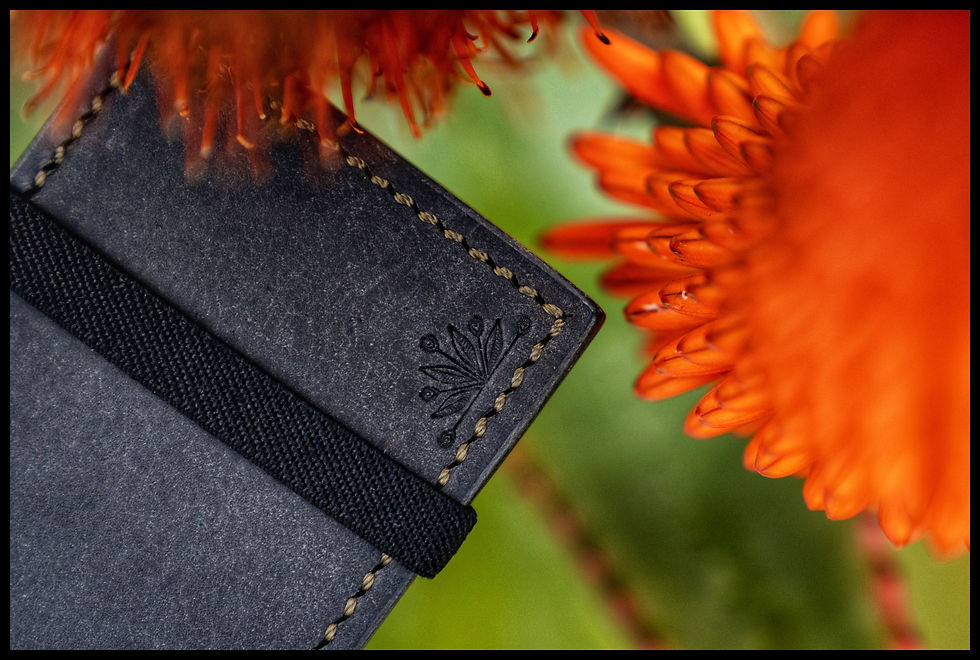 Thumbnail: The Miibo Wallet