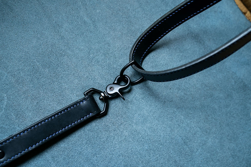 Thumbnail: Dual Camera Harness