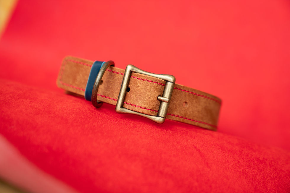 Thumbnail: Dog Collar