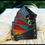 Thumbnail: Guitar Strap / Camera Strap