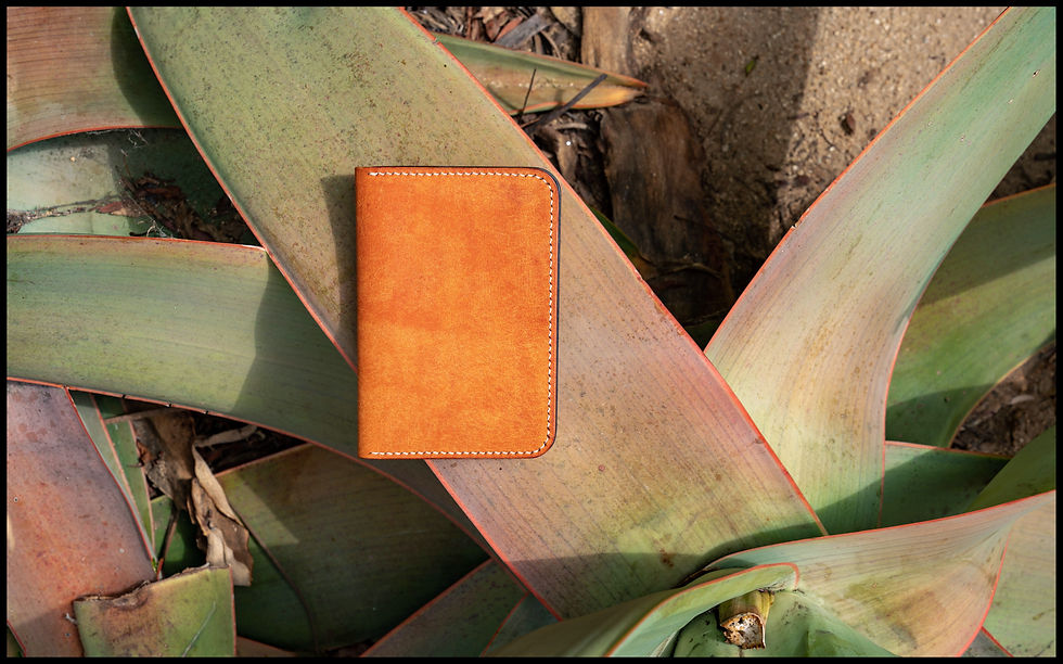 Thumbnail: The Passport Wallet