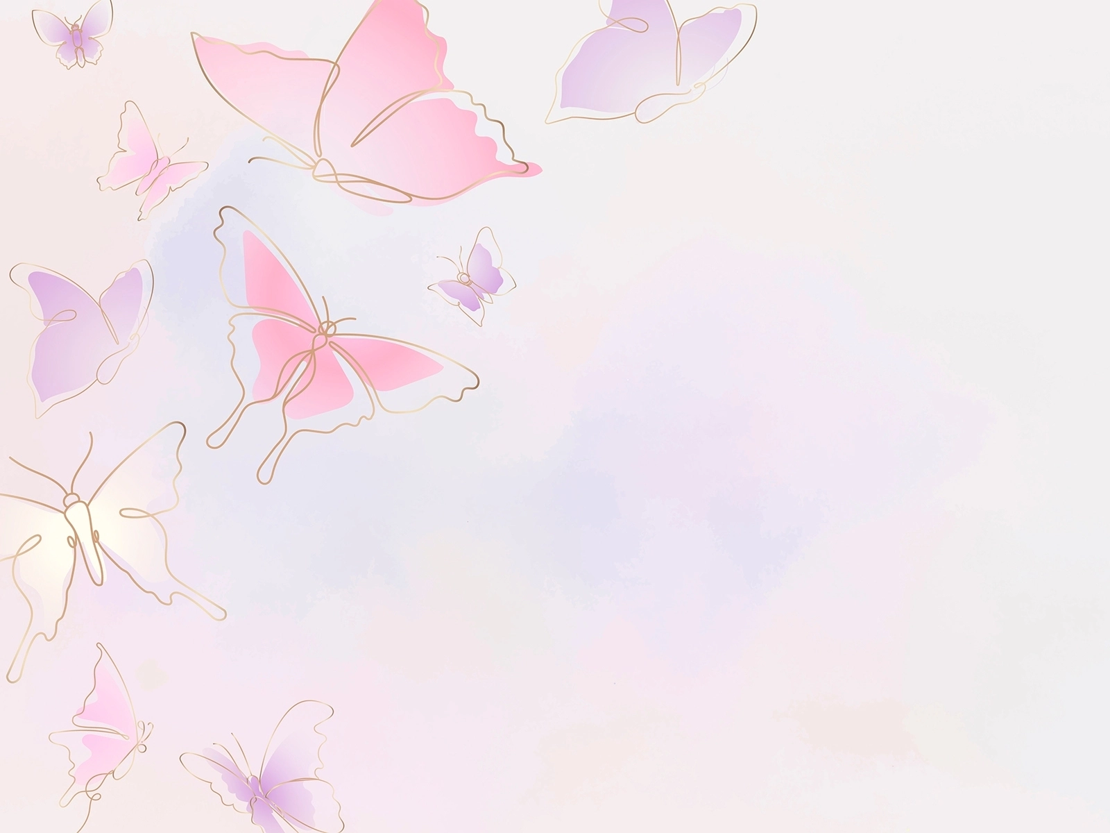 v1014-bg-002a-dribbble_4x.webp