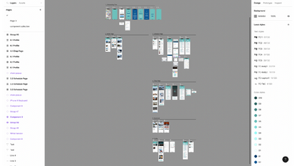 GreenTomato Academy-UIUX_portfolio_prototype-Trip Chap – Steven Poon