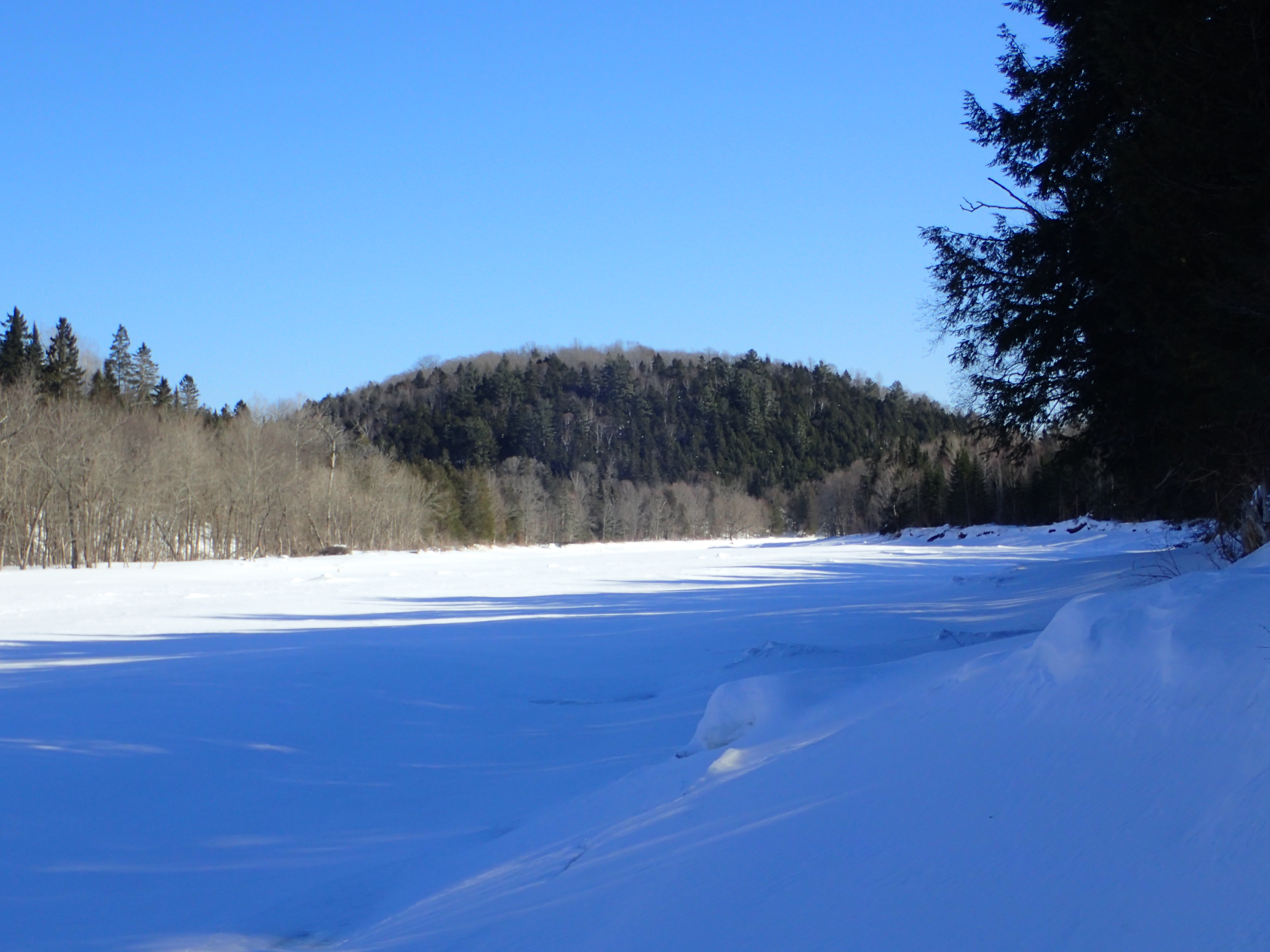 Looking at Wilson Mountain!