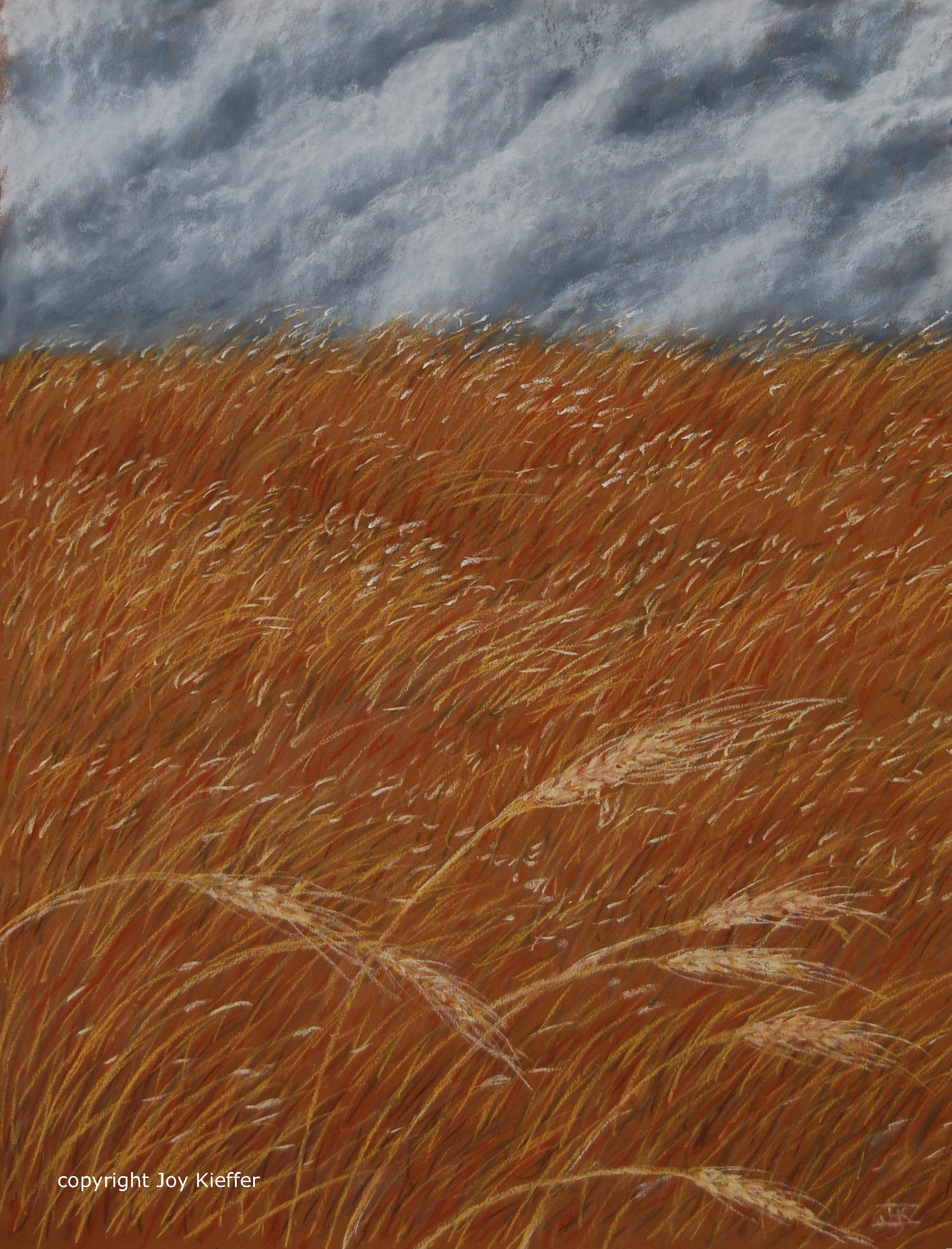 White for Harvest print