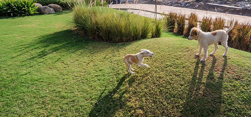 JM Residence — image 27