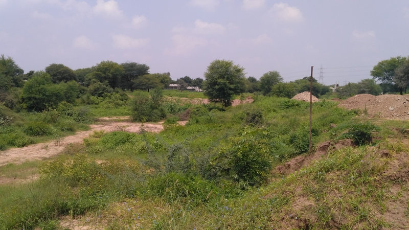 Raksha Shakti University — image 14