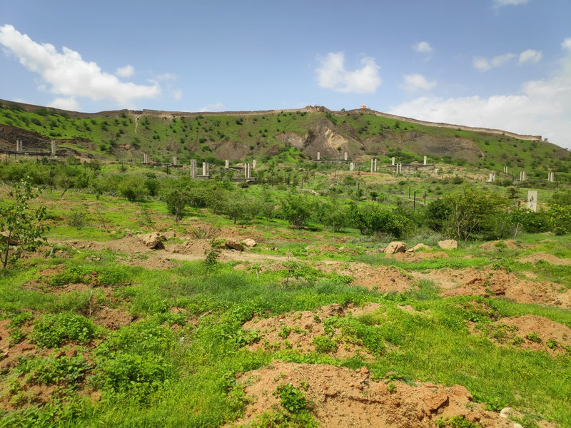 Smriti Van — image 20