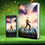 Thumbnail: Dragon Realms