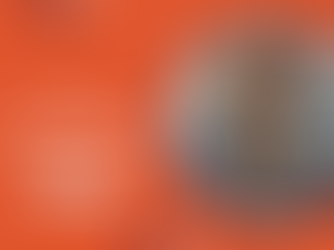 The Advantages and Disadvantages of Renting to Tenants With pets — How to Screen Pets