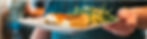 Web banner.jpg