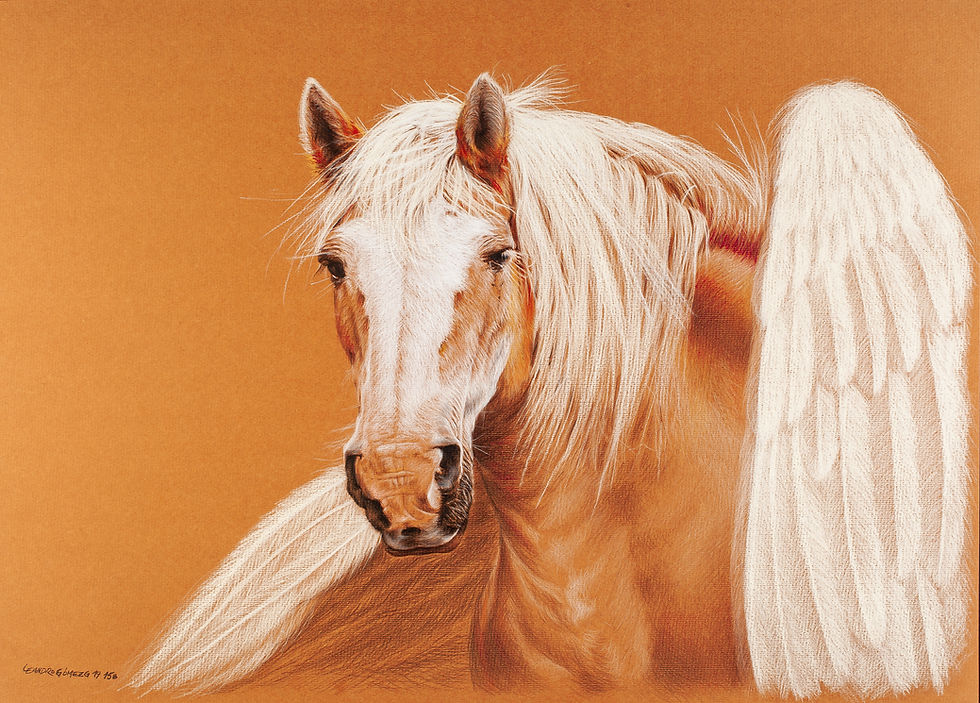 “Hermano Caballo”