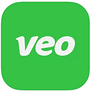 veo logo.png