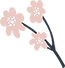 Flower Plant